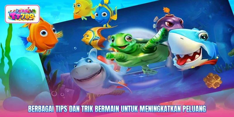 Berbagai tips dan trik bermain untuk meningkatkan peluang